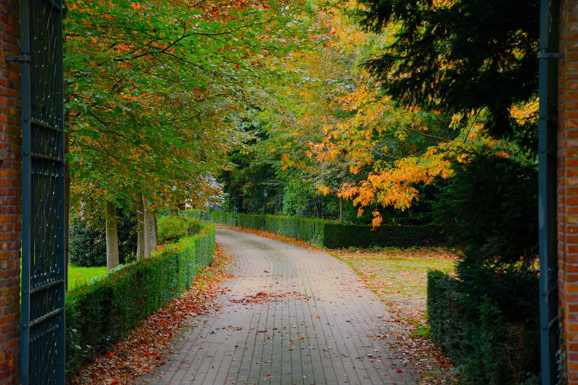 Driveways