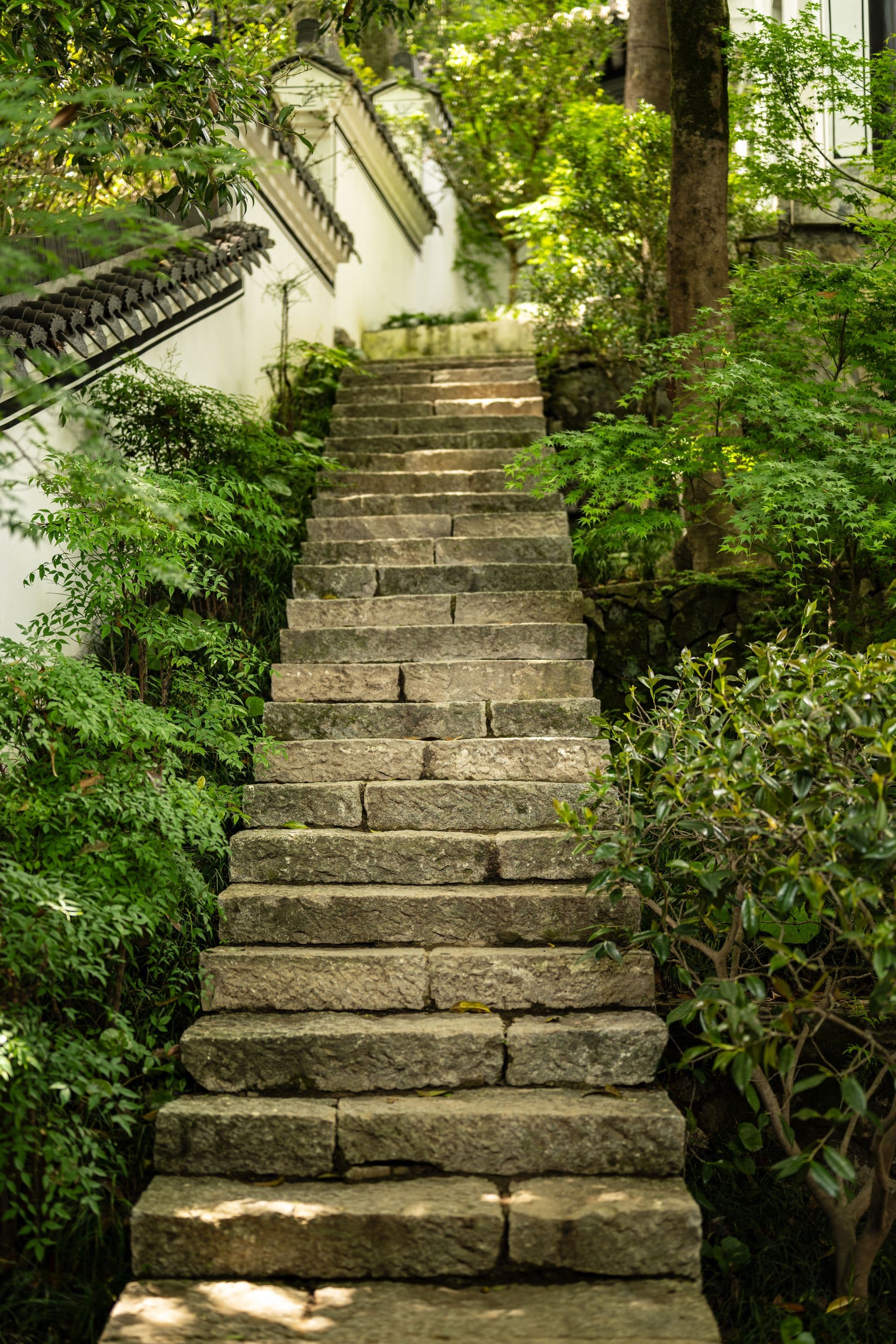 Steps